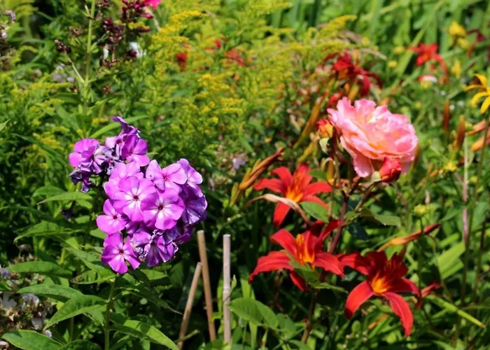 Ka8 Beim Wattn Fischer * Времен